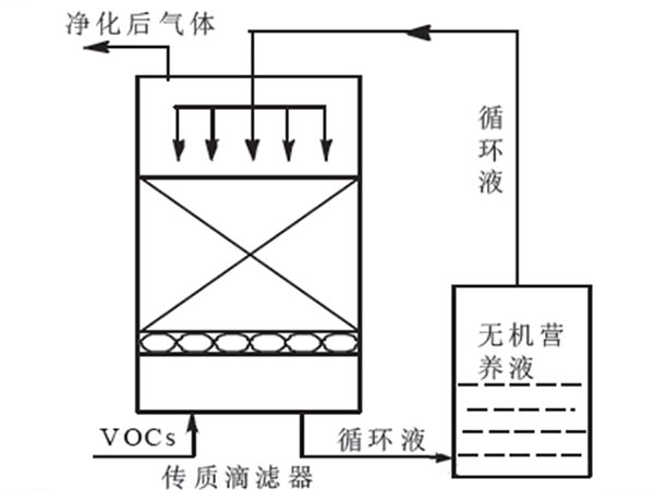 生物滴滤塔除臭工艺流程